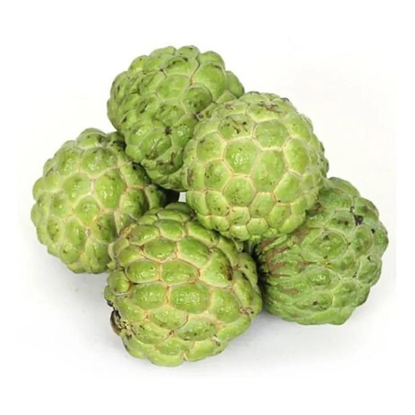 Custard Apple